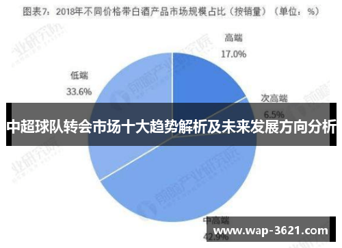 中超球队转会市场十大趋势解析及未来发展方向分析
