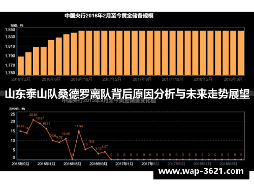 山东泰山队桑德罗离队背后原因分析与未来走势展望