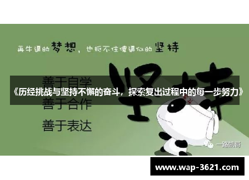 《历经挑战与坚持不懈的奋斗，探索复出过程中的每一步努力》